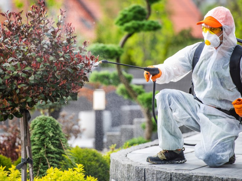 Buldan Haşere İlaçlama